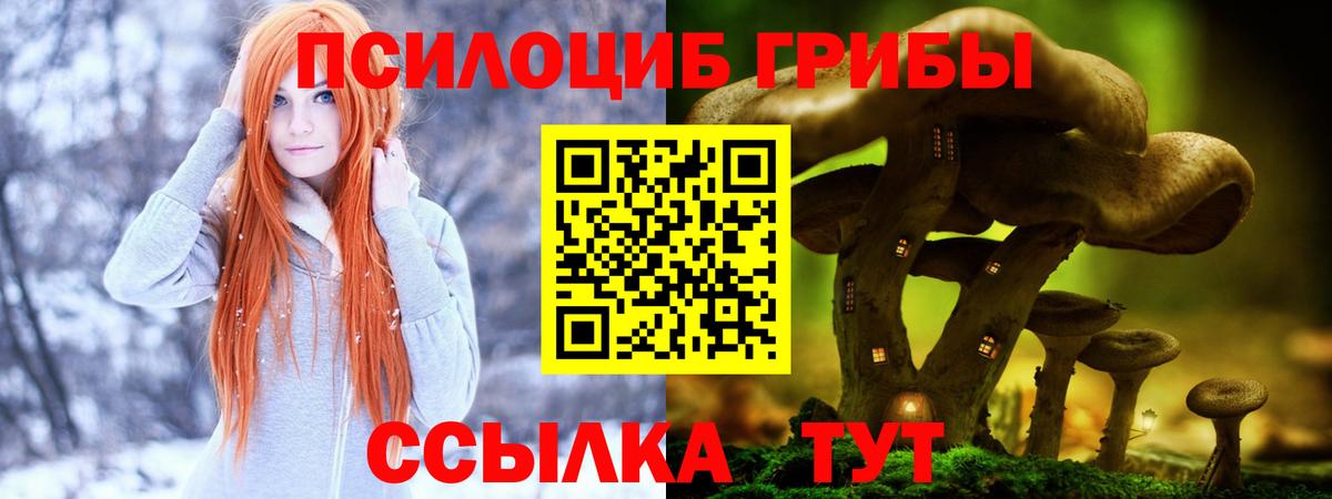 Шахты  Галлюциногенные грибы ЛСД  Галлюциногенные грибы мицелий  Вход с VPN 